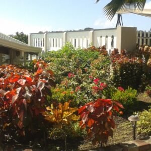 LAE 103