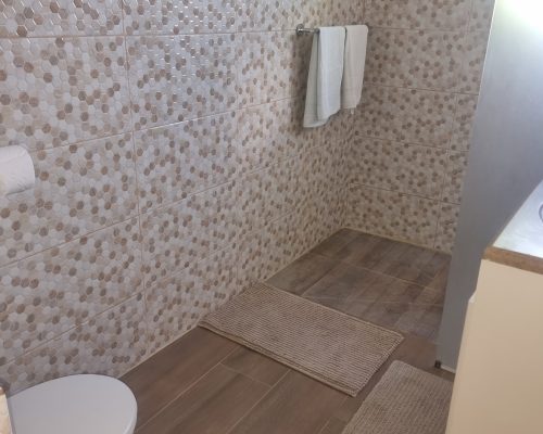 20241008_115409-scaled