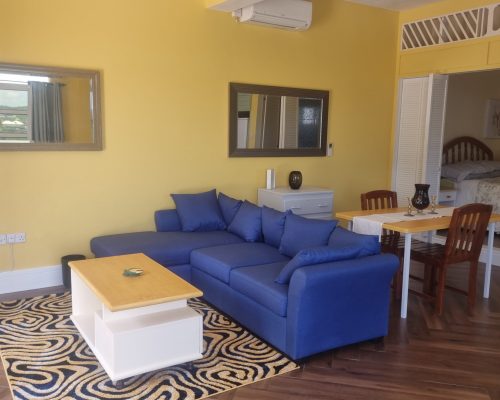 20241008_115540-scaled